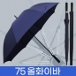 무표 75자동 올화이바 무지